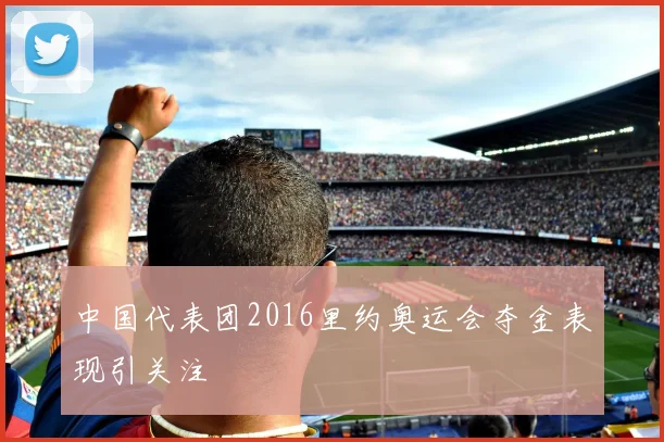 中国代表团2016里约奥运会夺金表现引关注