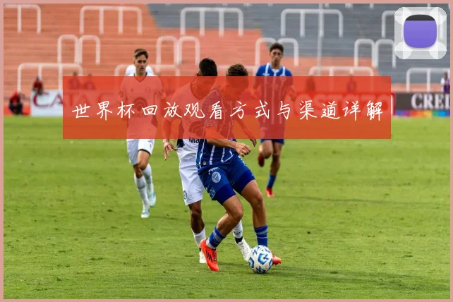 世界杯回放观看方式与渠道详解