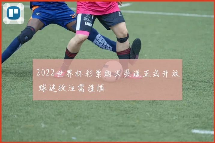 2022世界杯彩票购买渠道正式开放 球迷投注需谨慎