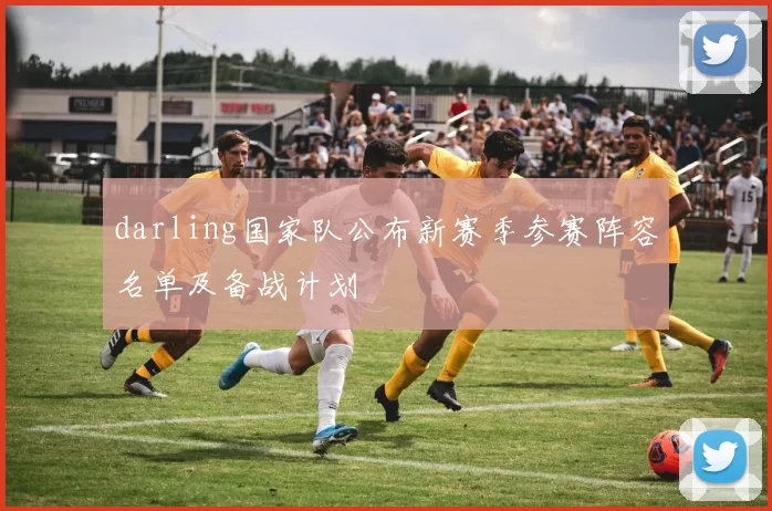 darling国家队公布新赛季参赛阵容名单及备战计划